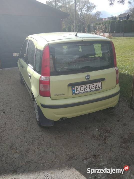 Fiat panda 11
