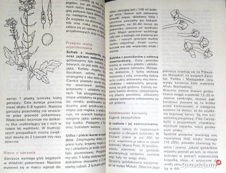 Rośliny przyprawowe i przyprawy w węgierskiej lubelskie