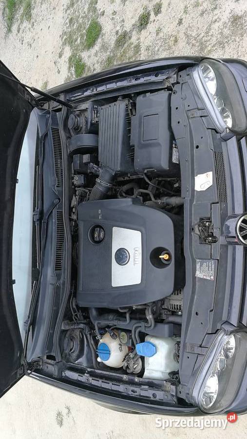 Volkswagen Golf IV 19 TDI 101 2005r kupiony w Polsce zachodniopomorskie Krzywin
