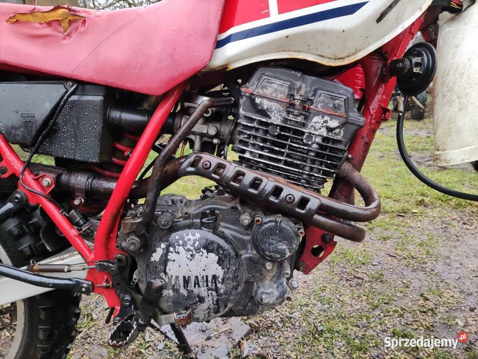 Yamaha XT 350 manualna Bierzwnik