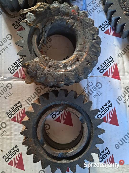 Koło zębate 3 biegu Massey Ferguson Z24 sprzedam