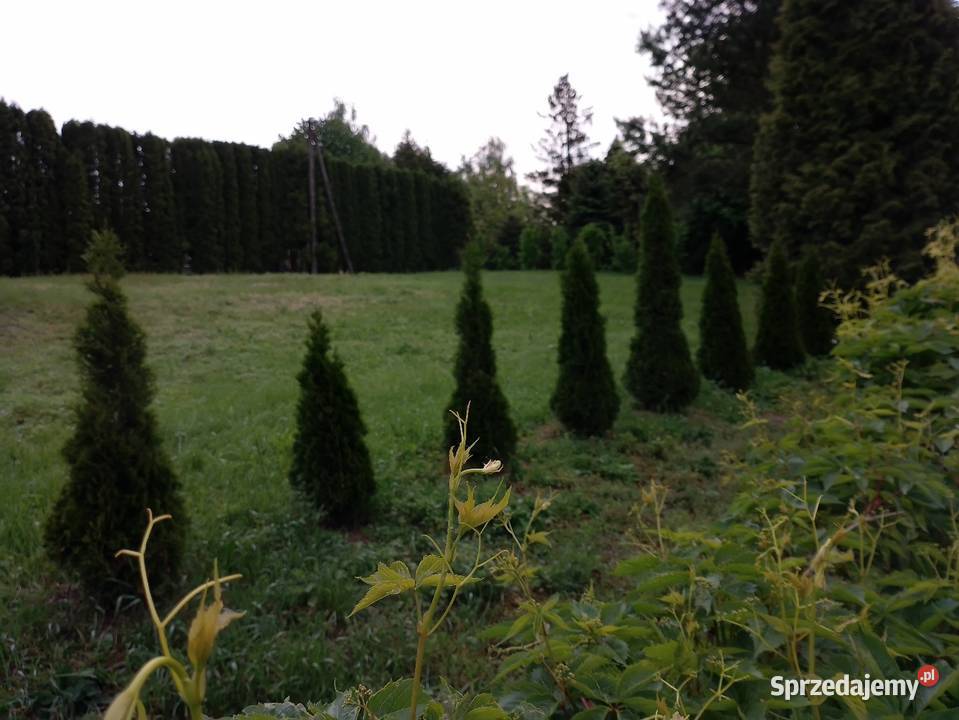 Sobiecin 38500 Jarosław działka budowlana 660 m Sprzedaż
