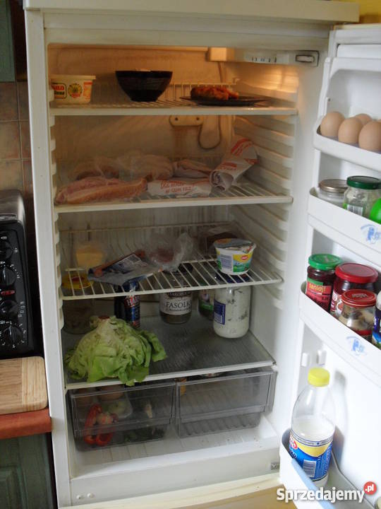 Lodówka Whirlpool CB290W kujawsko-pomorskie Włocławek