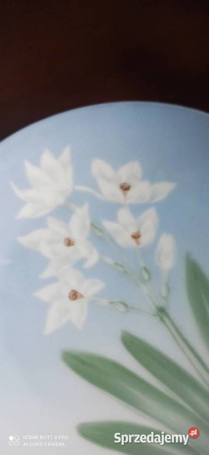 Talerz Rosenthal Sevres Sygnał Thomas Syg z Gdańsk