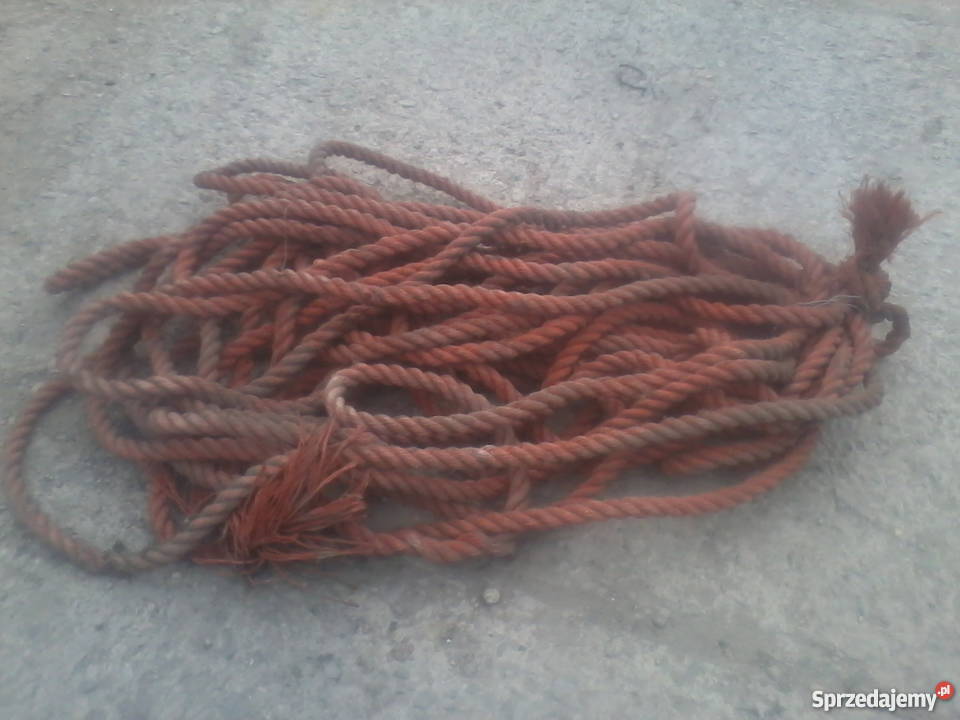 Lina cumownicza Pozostałe małopolskie Kraków