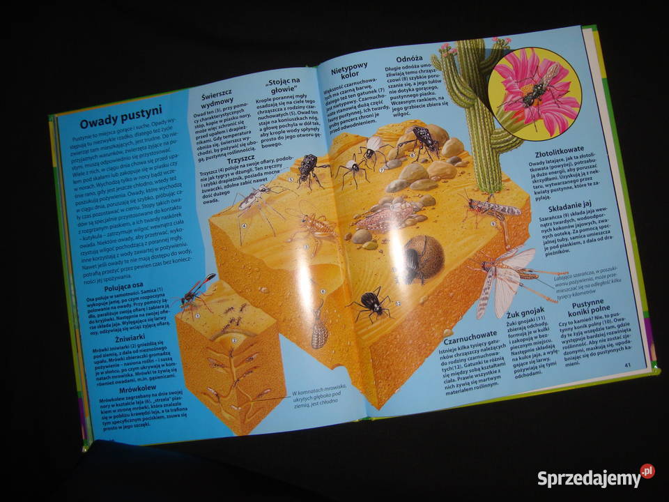Natura Świat Owadów album z fotoopisem Tychy