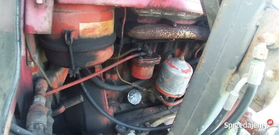 Mtz 82 Rolnictwo łódzkie Jastrzębice