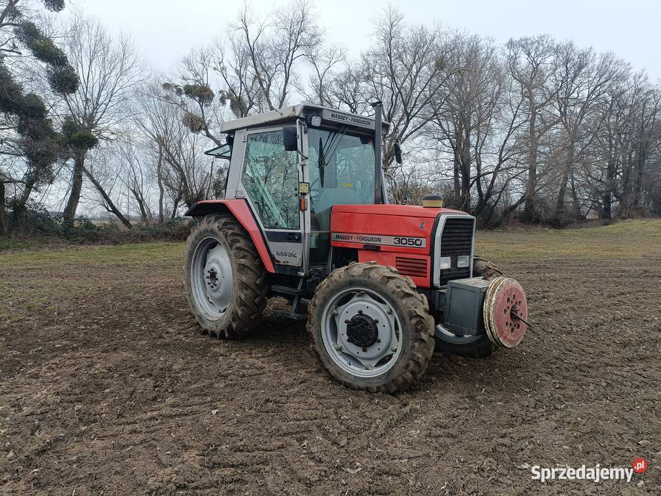 Massey Ferguson 3050 Lewin Brzeski sprzedam