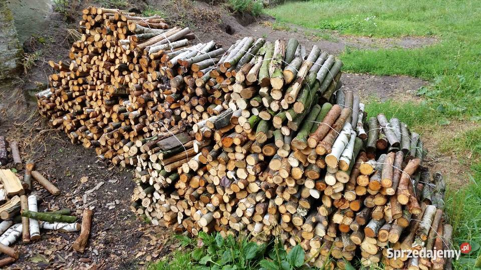 Drewno do kominka Skrzeszew