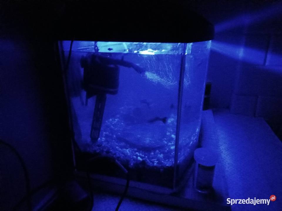 Akwarium sprzedam