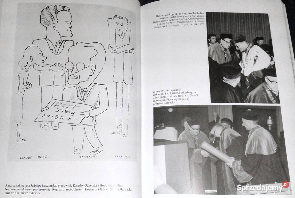 Profesor Stefan Barbacki 19031979 w setną sprzedam