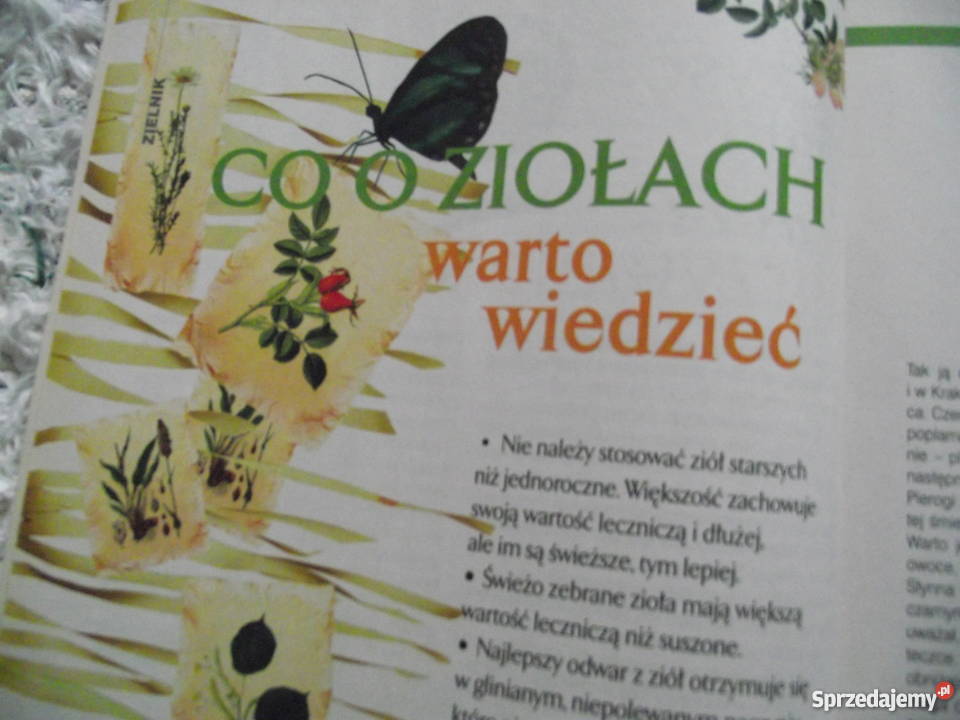 WSZYSTKO O ZDROWIU różne broszury zbiór tekstów wielkopolskie