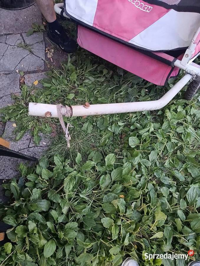 Przyczepa rowerowa Sosnowiec
