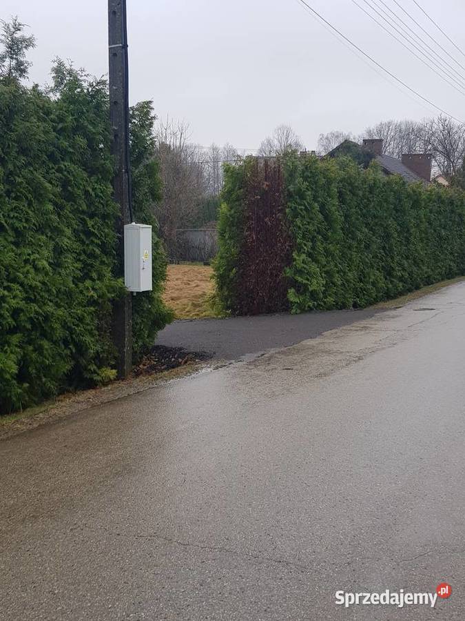 Dom w malinówkach 164m2 na działce 86 ara prąd Pisarzowice