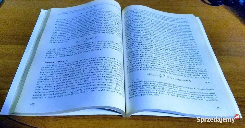 Kwantowa teoria magnetyzmu Robert M White miękka Gdańsk