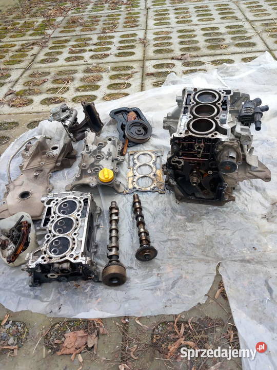 Silnik renault dacia 09 tce turbo benzyna 2017r lubelskie Bychawa