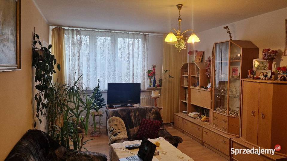 1 pokójsalon pracującej pary 1 osoby Wrocław