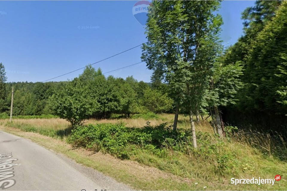 Działka 8a otulona zielenią Jeleśnia czeka Sprzedaż