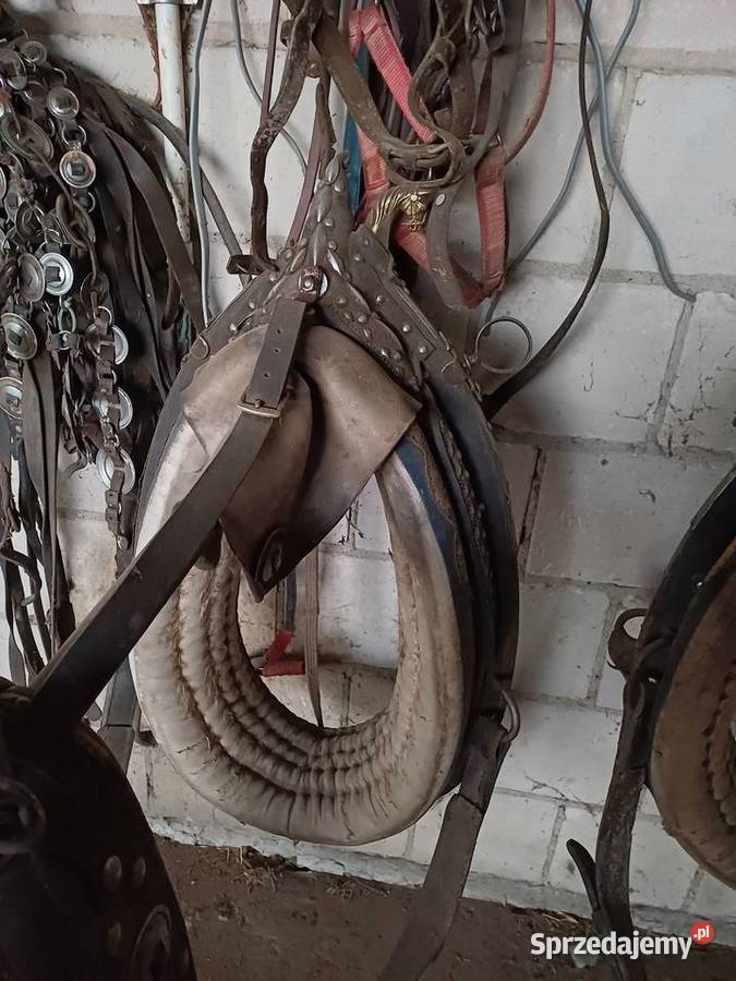 bryczki uprząż wz cygański przyczepa koni mazowieckie Gawartowa Wola