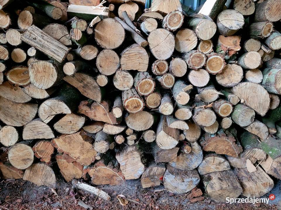 liściaste Grab Jesion Akacja Świecie