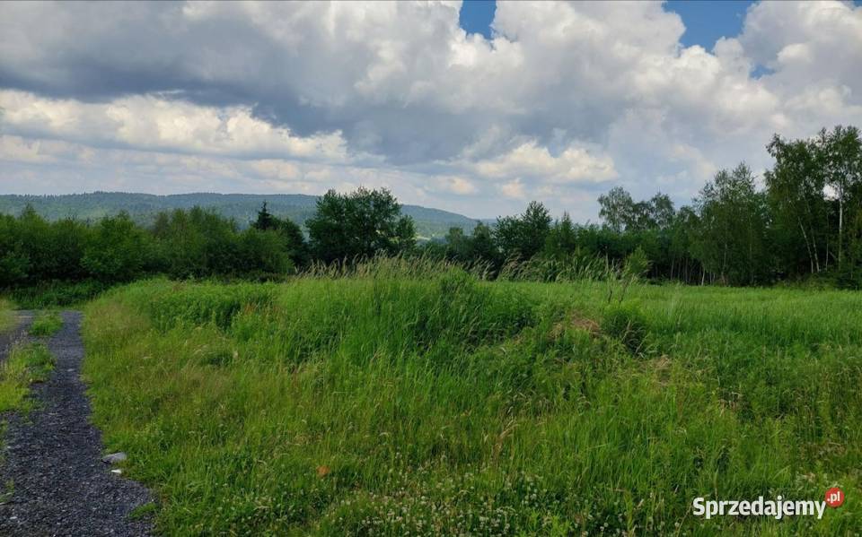 Rożnów działka budowlana inwestycyjna Jezioro