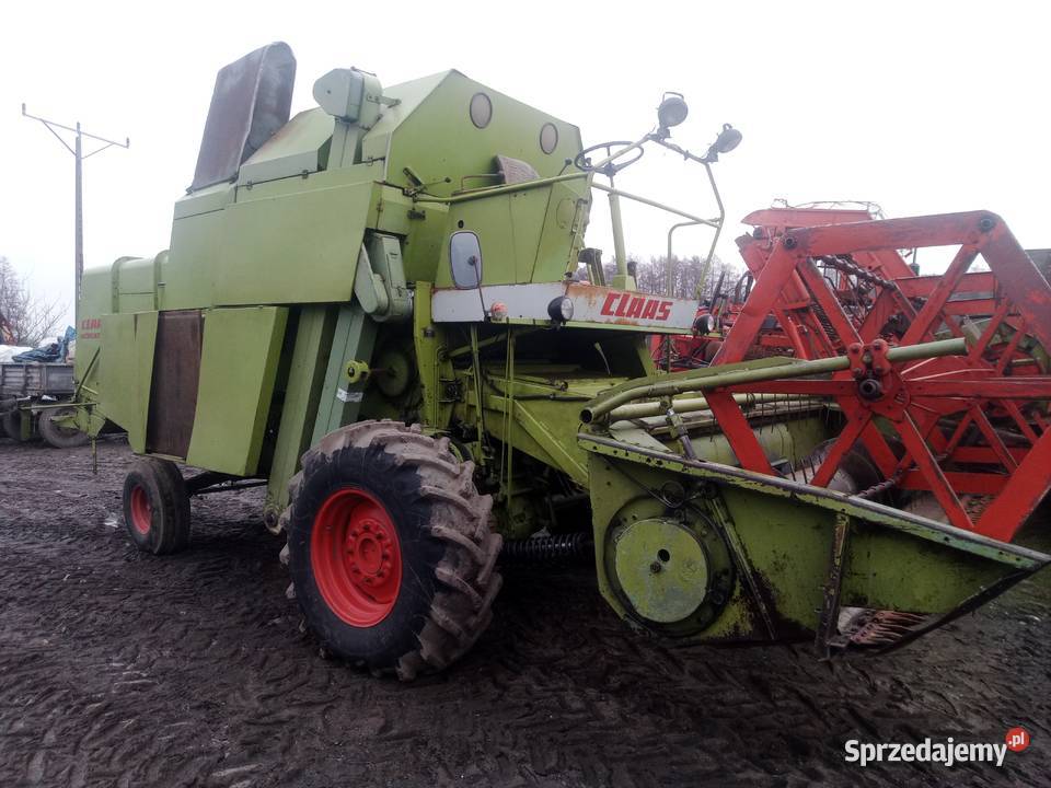 Claas Mercator 60 kombajn do zboża bizon Massey Bytom Odrzański sprzedam