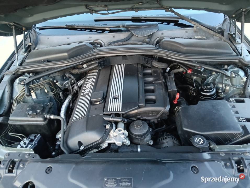BMW E60 525i 192 pomorskie Słupsk