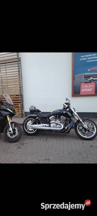 Harley davidson vrod muscle Szprotawa