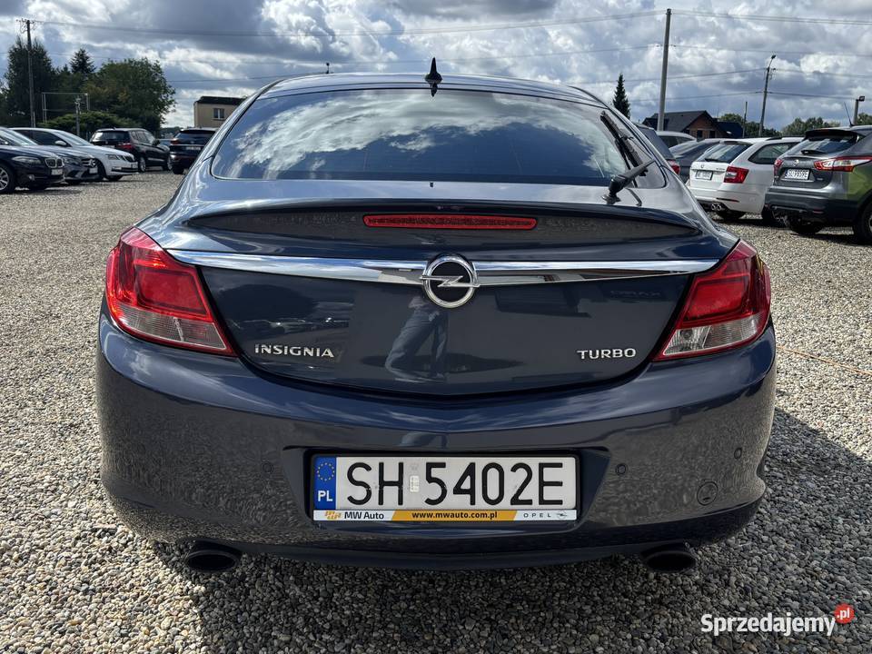 Opel Insignia bluetooth Opel Paniówki