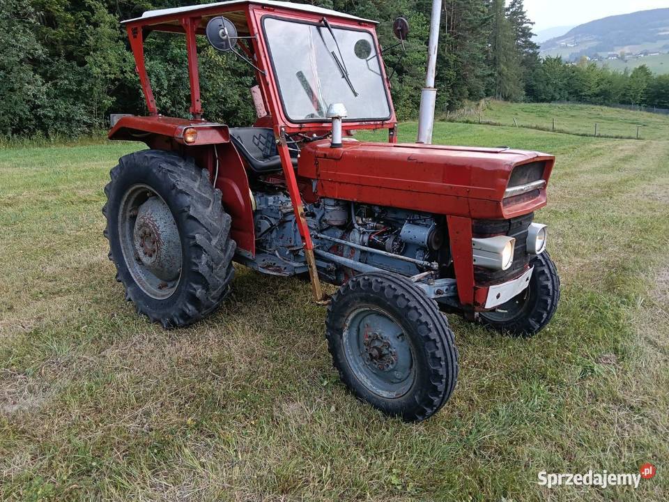 Massey Ferguson 135 Nowy Sącz sprzedam