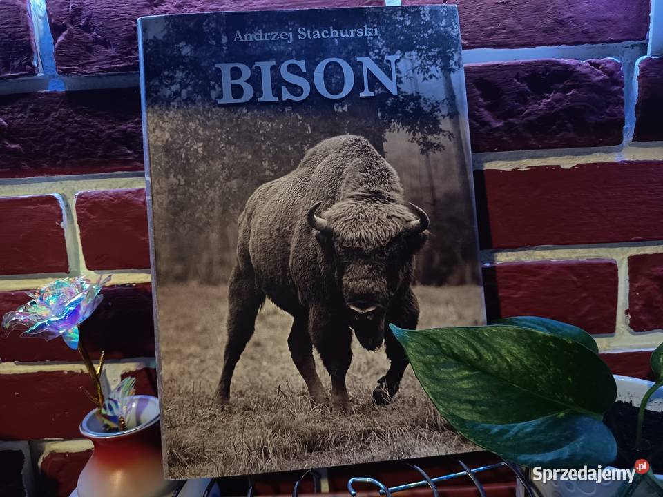 Luksusowy Album FOTO BISON ŻUBR 2003 EN kujawsko-pomorskie Bydgoszcz sprzedam