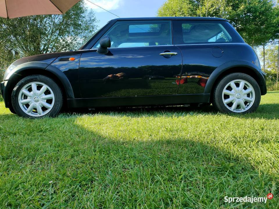 Mini że Szwajcarii konin wlkp Rok produkcji 2003 sprzedam