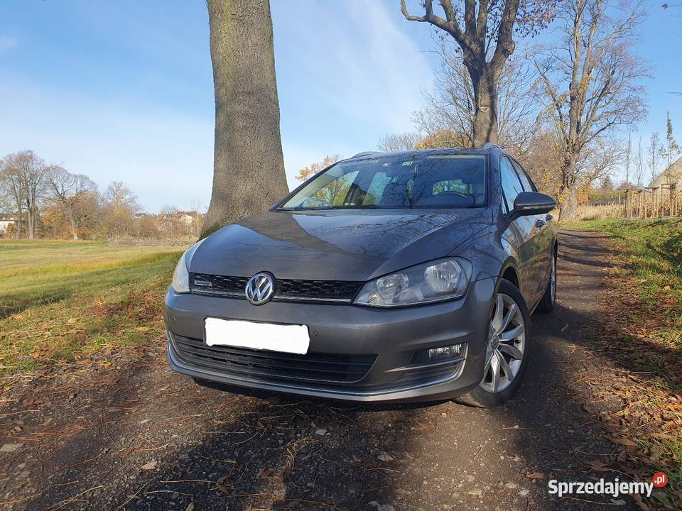 VW Golf 7 14 Benzyna DSG Panorama Super stan Motoryzacja Gliwice