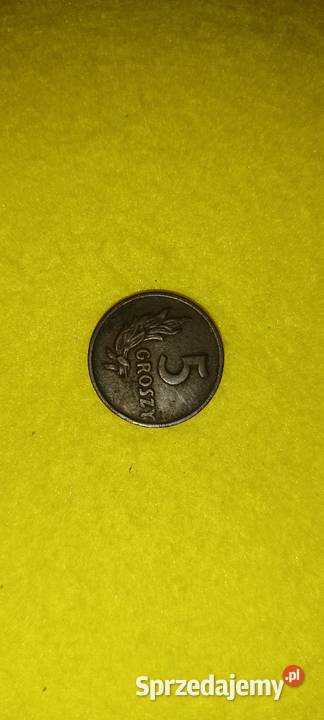 5 gr 1949 r Polkowice