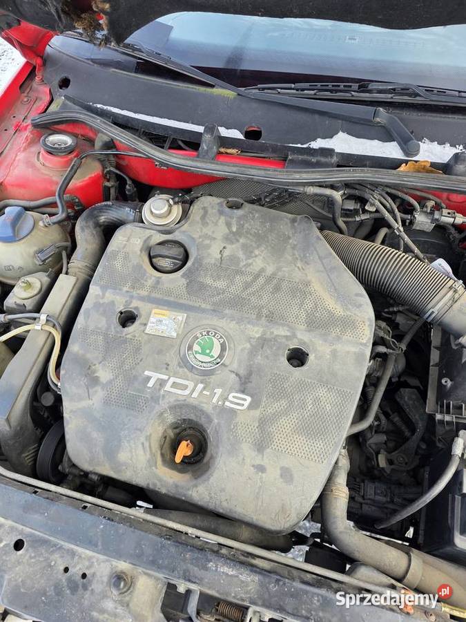 Skoda octavia nieuszkodzony Bukowice