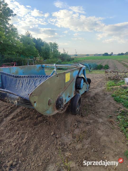 Kopaczka do ziemniaków