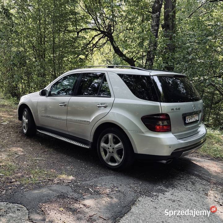 Mercedes ML 320 CDI Salon Polska 4/5 śląskie Skoczów