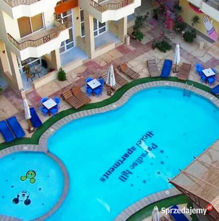 Apartament Morzem Czerwonym Hurghada Sprzedaż Warszawa
