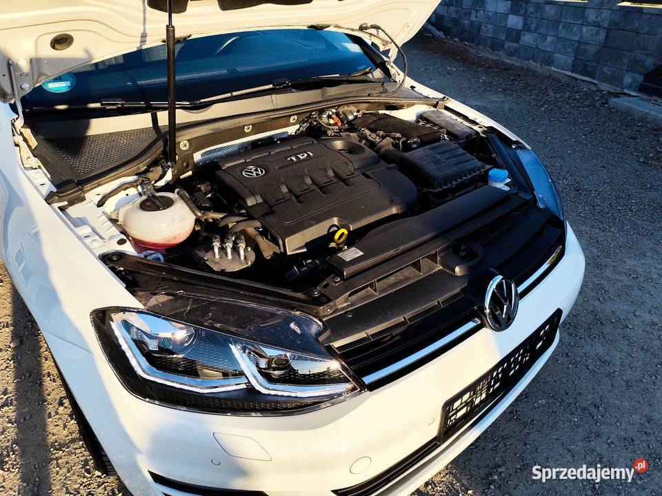 Volkswagen Golf VII 16 TDI 110 Gorlice sprzedam