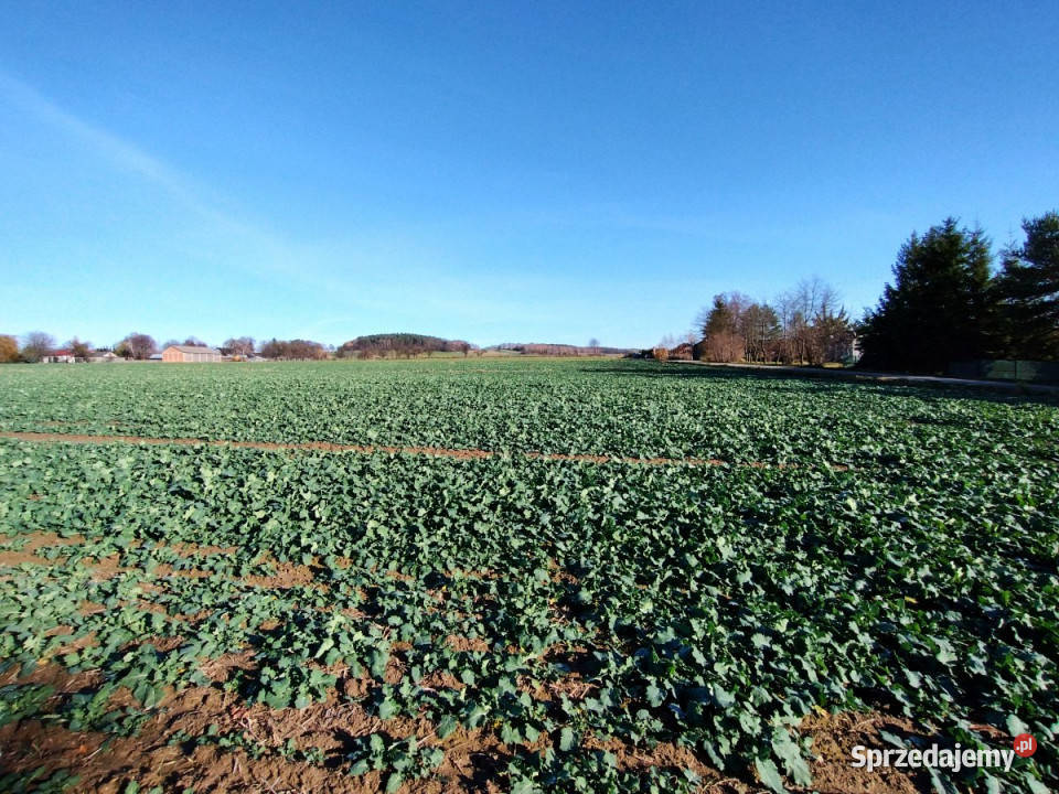 Działka 2000m2 Osowa