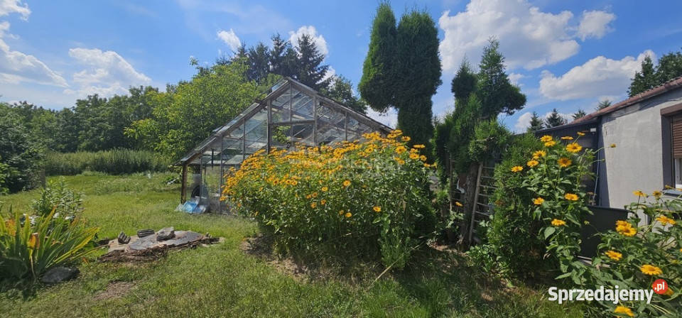 Działka budowlanoinwestycyjna na sprzedaż Kazimierzówka