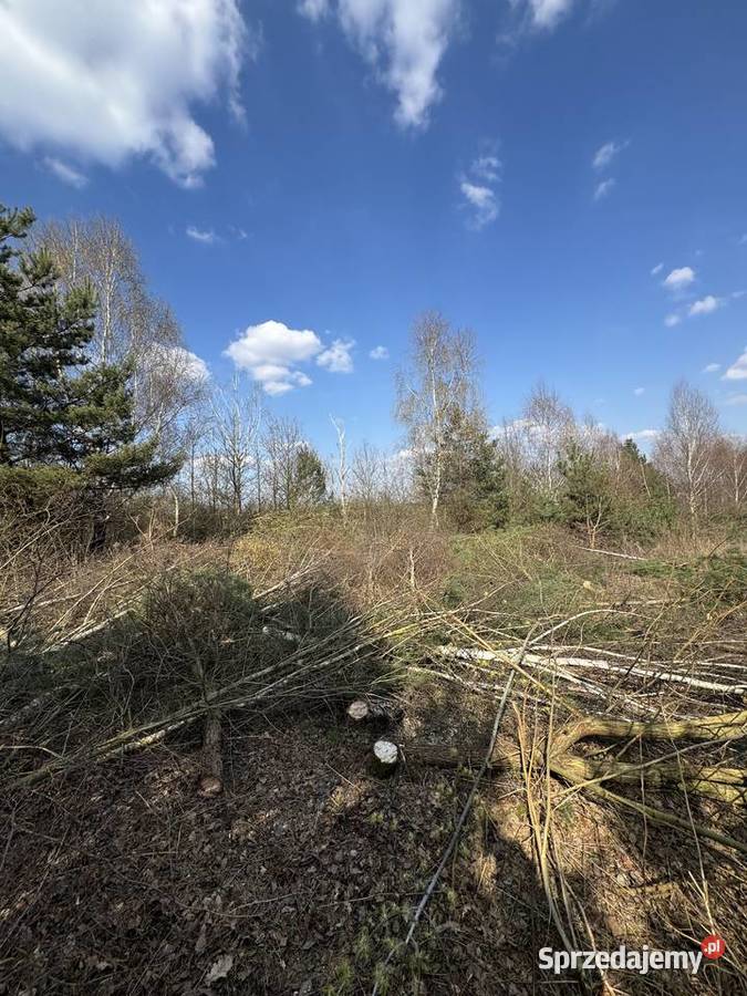 Na sprzedaż 3 działki budowlane z warunkami 30m Sulęcin