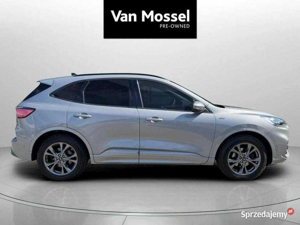Ford Kuga III 2019 Kuga Sadlno