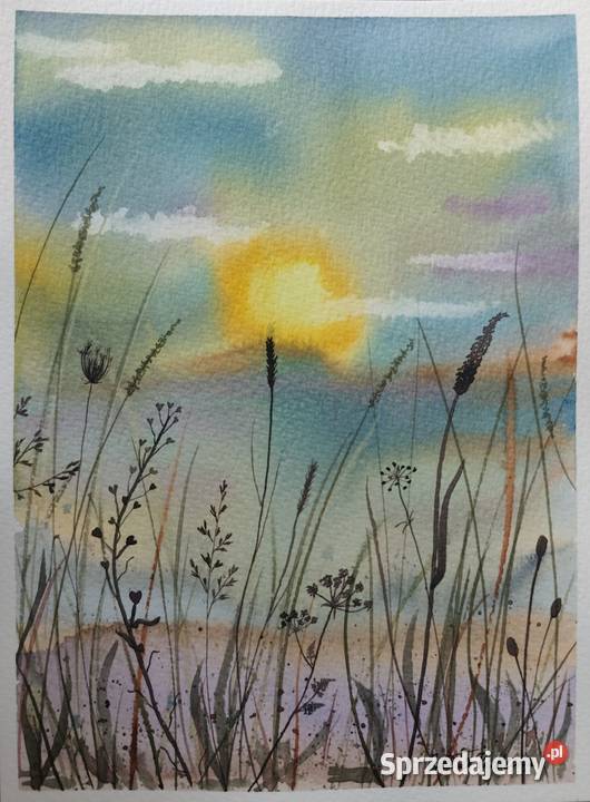 Akwarela Akwarelka Obraz pt Łąka Warszawa sprzedam