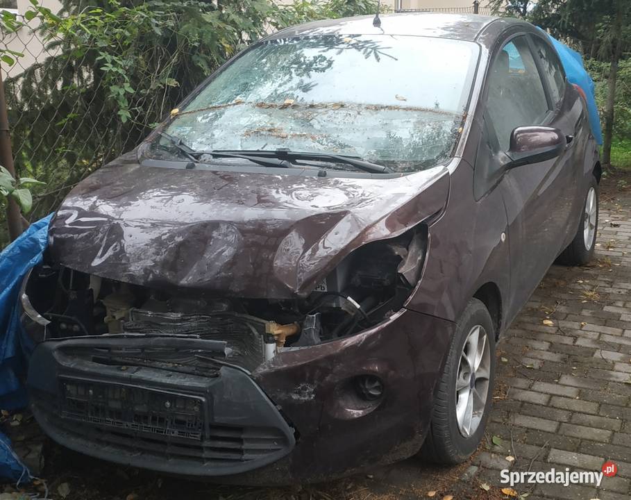 Ford Ka Ru8 mk2 12 Wrocław