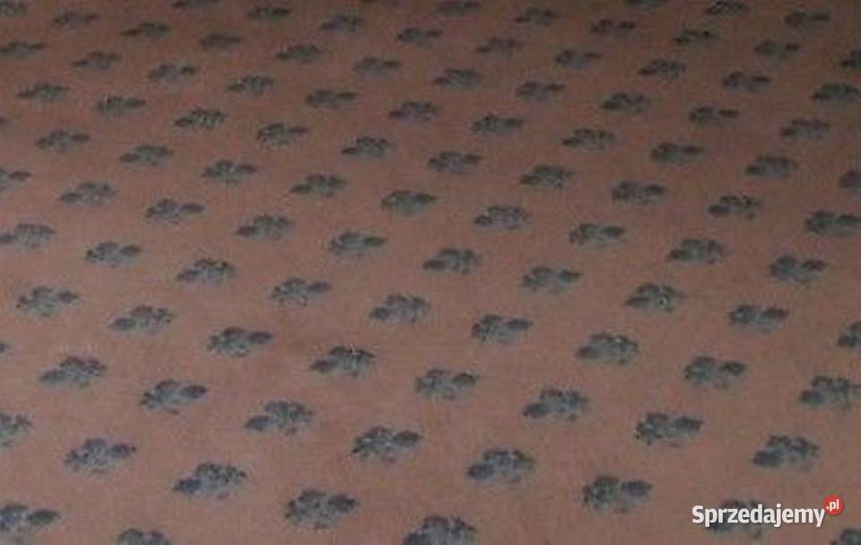 WYPRZEDAŻ Wykładzina dywanowa mało używana mazowieckie Radzymin