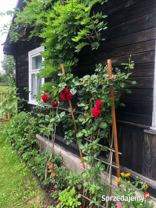 Siedlisko rzeką w wyjątkowej części Podlasia 5947m2 Lewkowo Stare