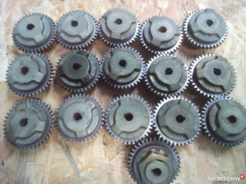 Koło zębate ze sprzęgłem Produkcja Leszno