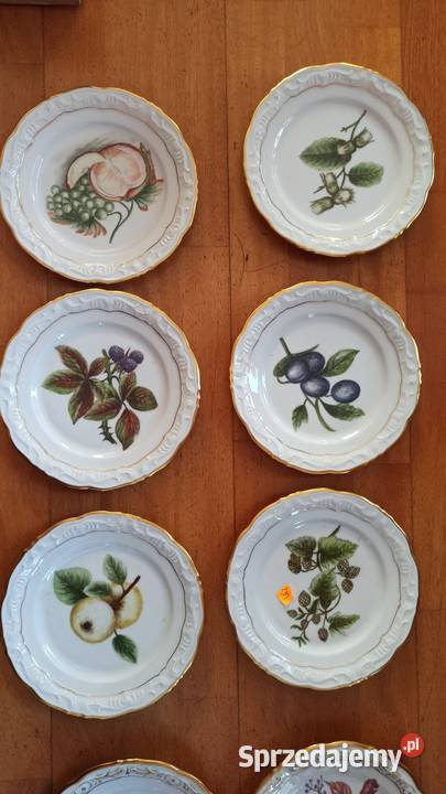 Przepiękne ręcznie malowane owoce na białej Gdańsk sprzedam