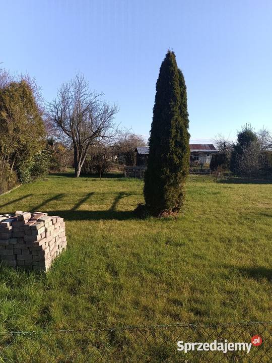 Ogródek dzialkowy Gorzów Wielkopolski
